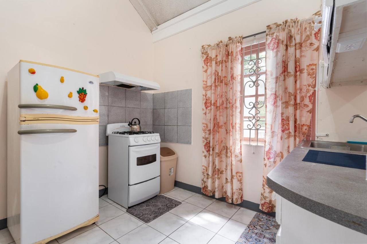 Shaw Park Gem Apt 12D Ocho Rios Eksteriør billede